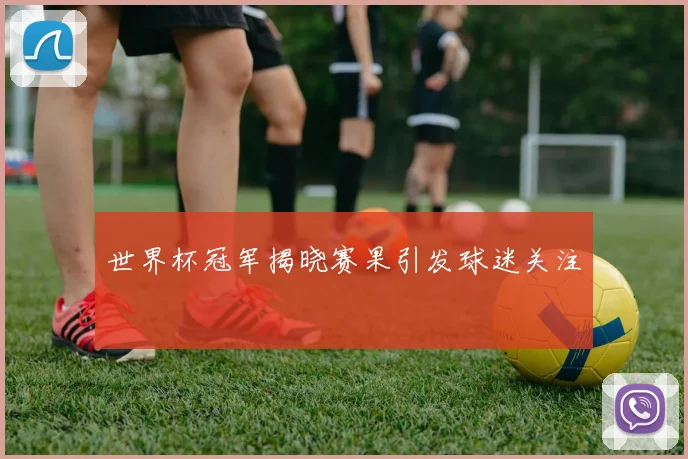 世界杯冠军揭晓赛果引发球迷关注
