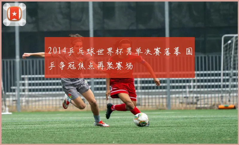 2014乒乓球世界杯男单决赛落幕 国乒争冠焦点再聚赛场