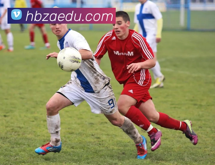 世界杯平台官网登录服务体系